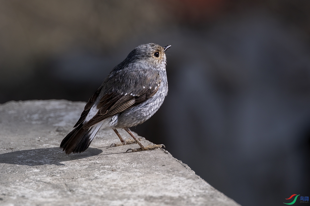 DSCF5559.jpg