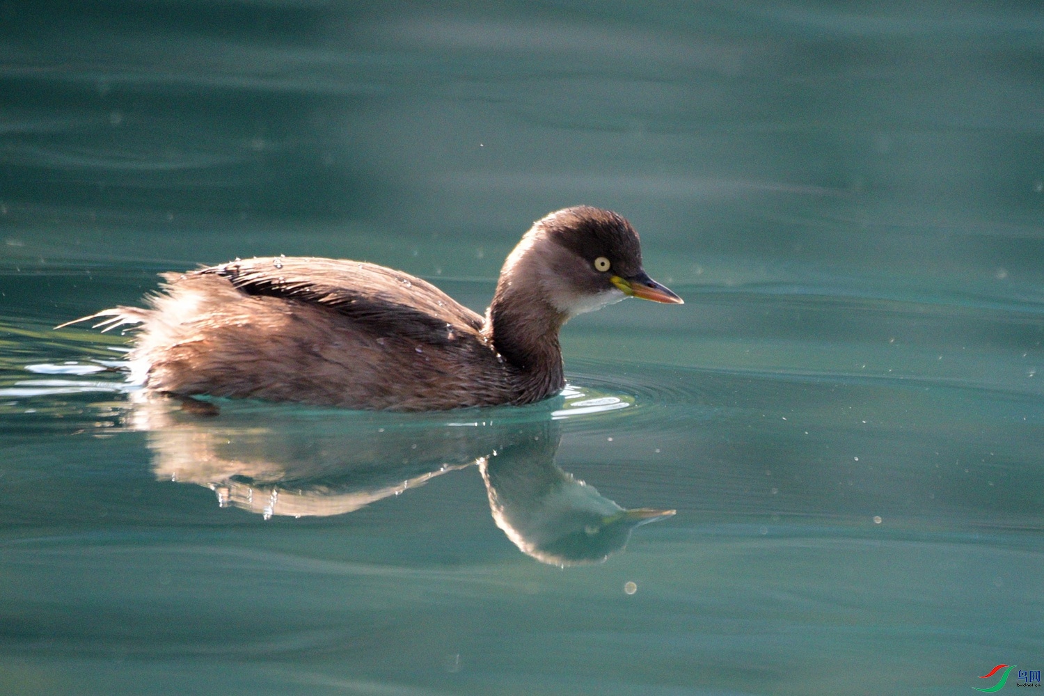 DSC_0777.JPG