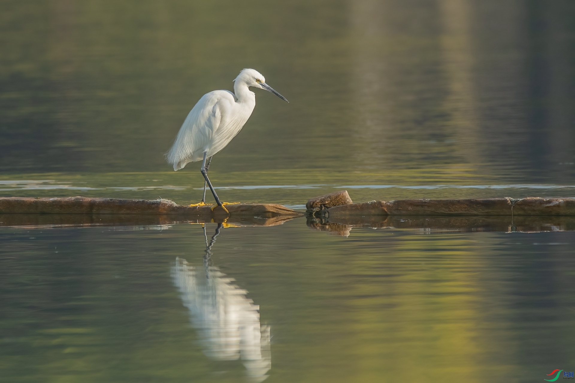 B86I2233 _����.jpg