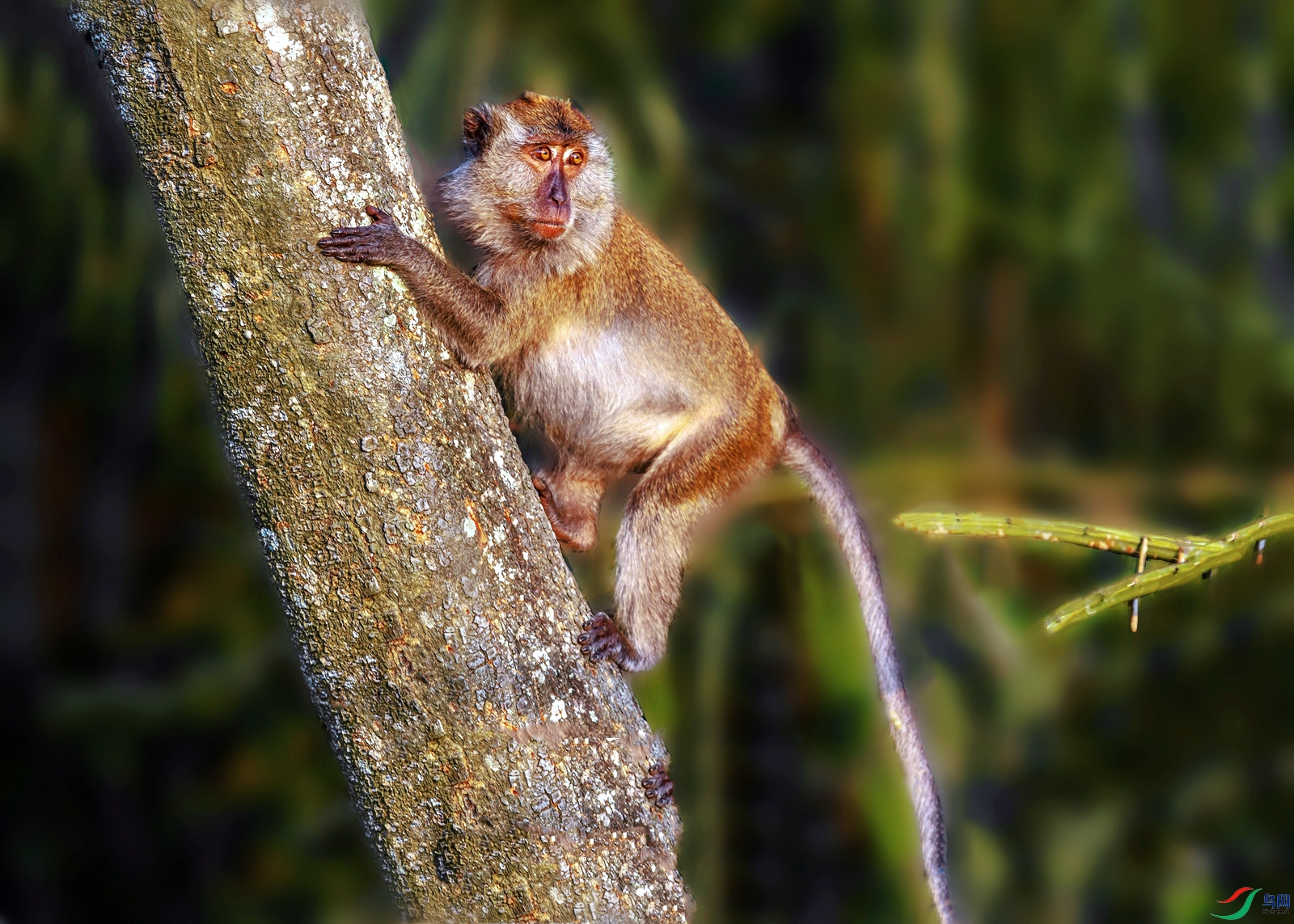 DSC_3328_����_����_���� (2).jpg