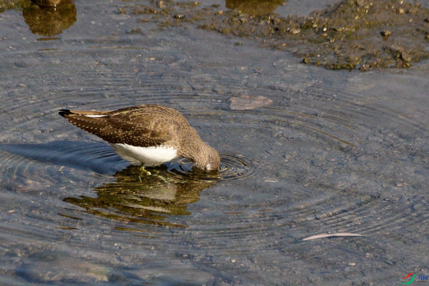 DSC_3211.JPG