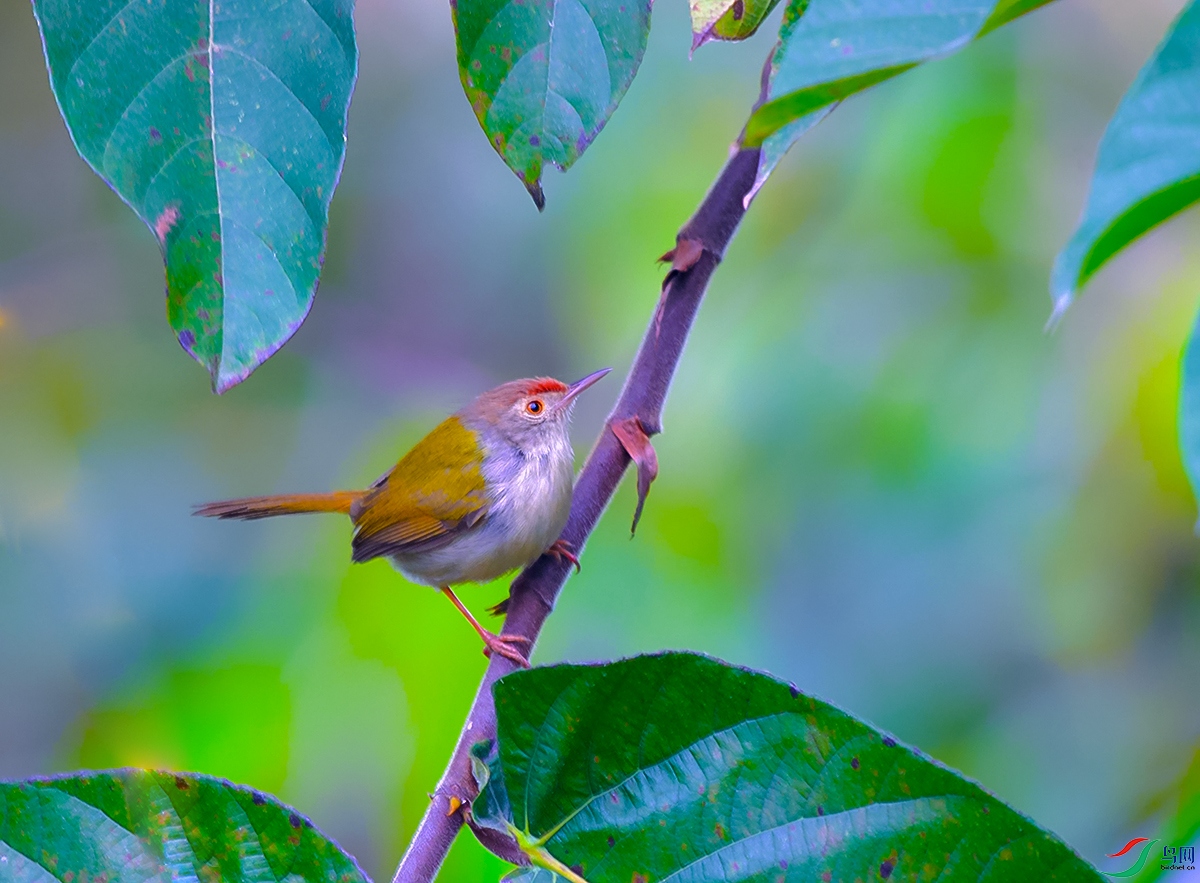 DSC_5266.JPG