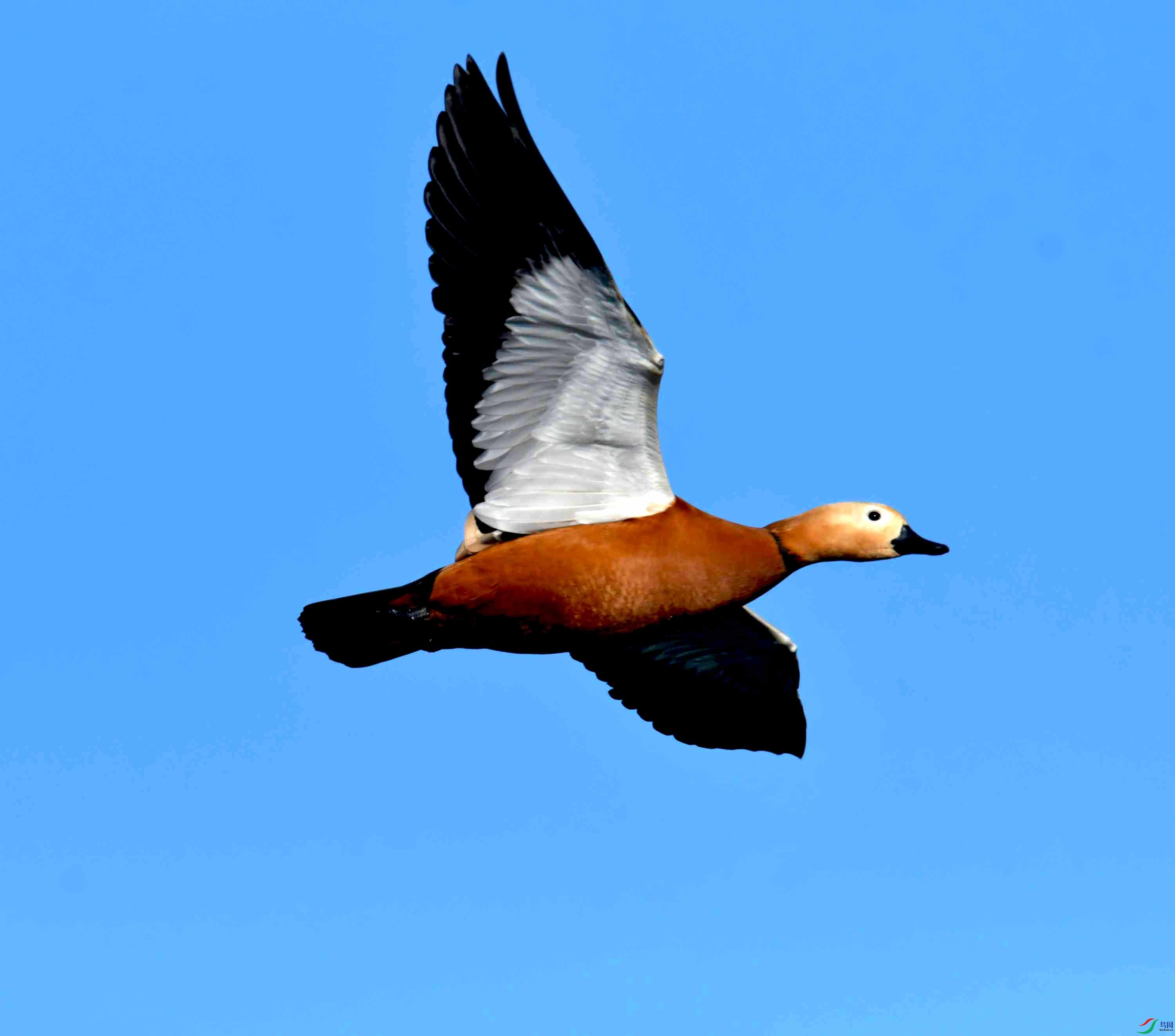 DSC_3201.JPG
