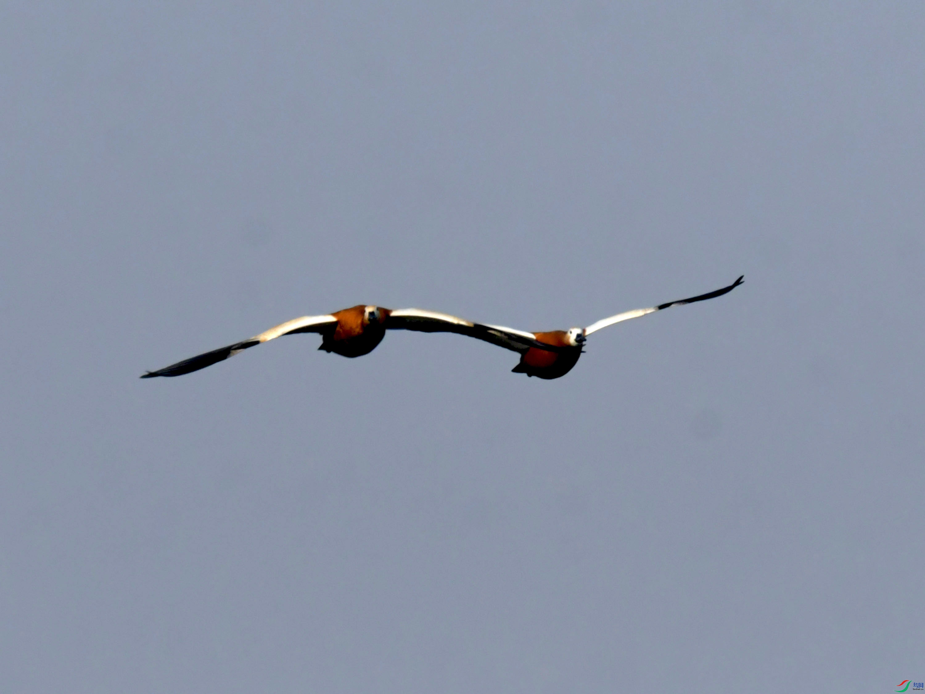 DSC_3218.JPG