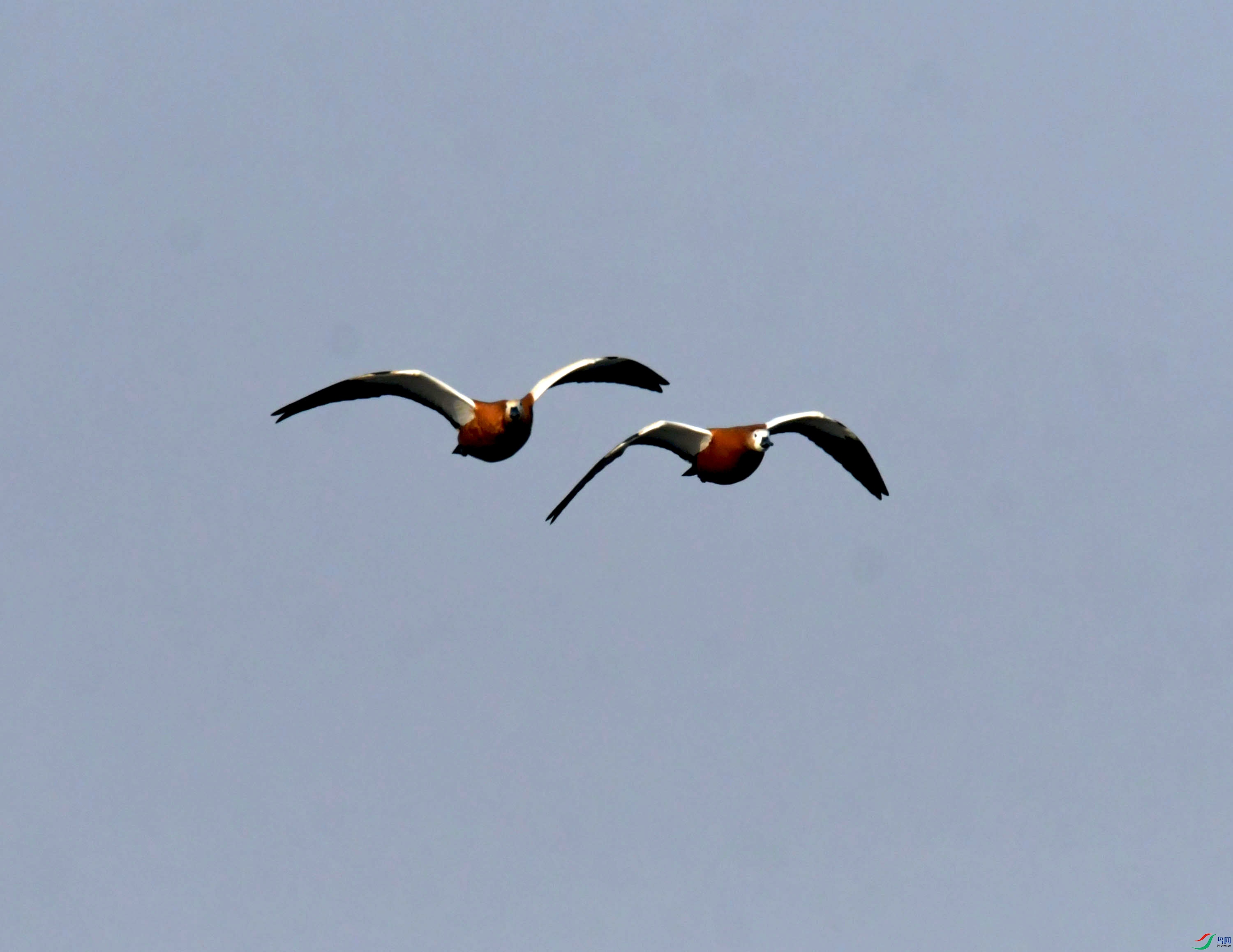 DSC_3219.JPG