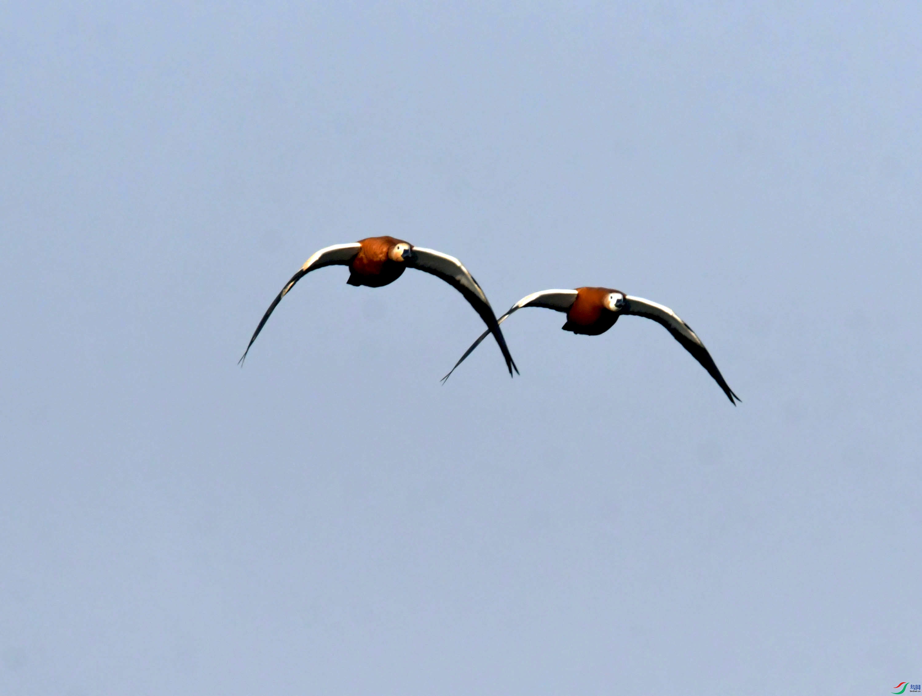 DSC_3225.JPG