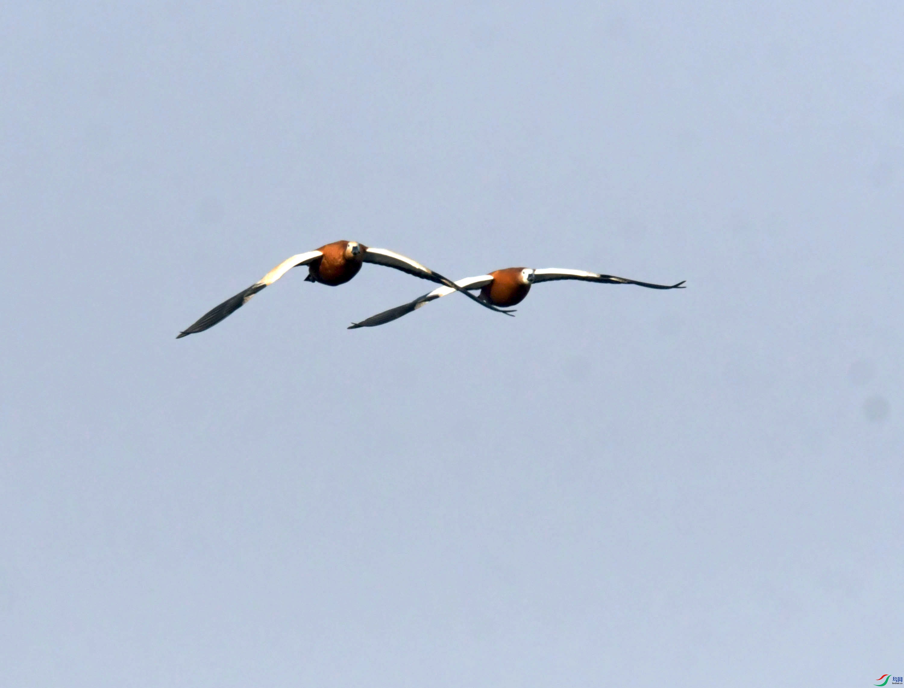 DSC_3220.JPG