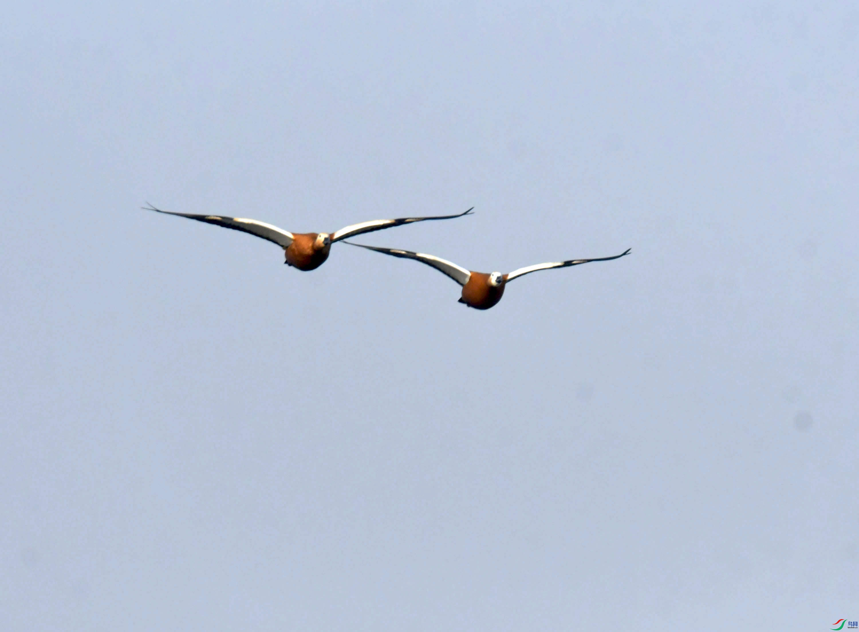 DSC_3224.JPG