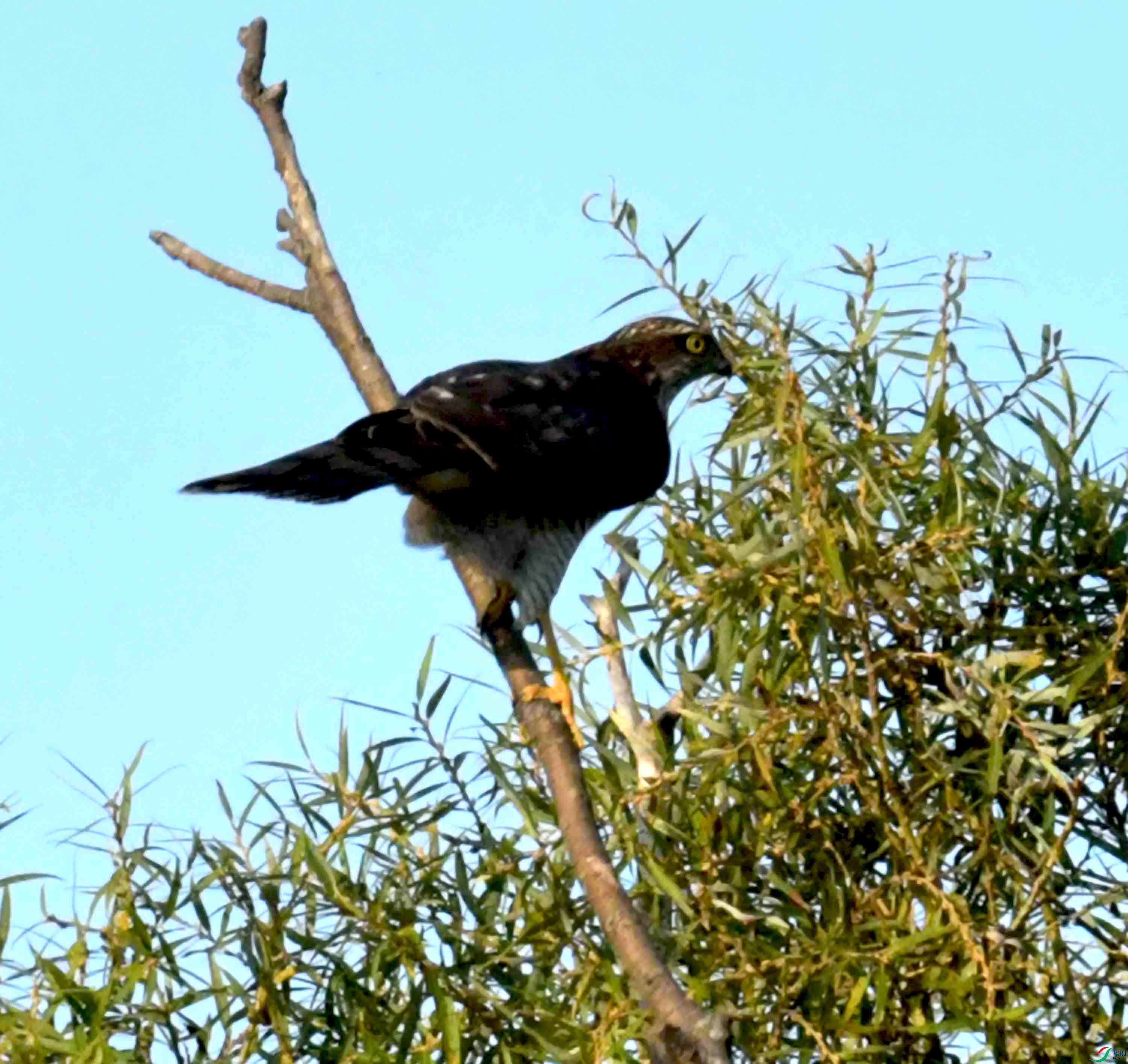 DSC_0656.JPG