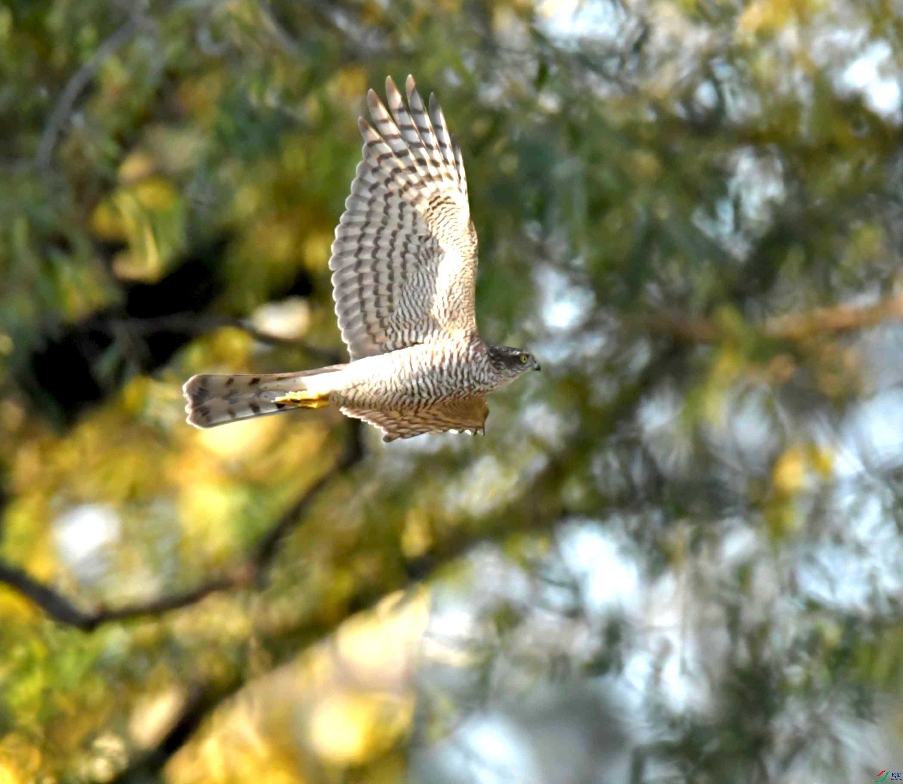 DSC_0695.JPG