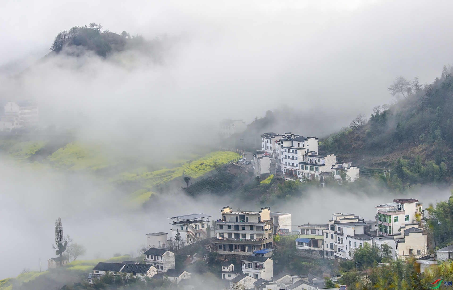 _DSC2477 - ����������ɽ��.jpg