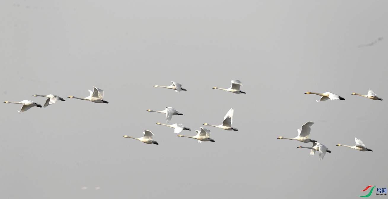 _F2I0017_����.jpg