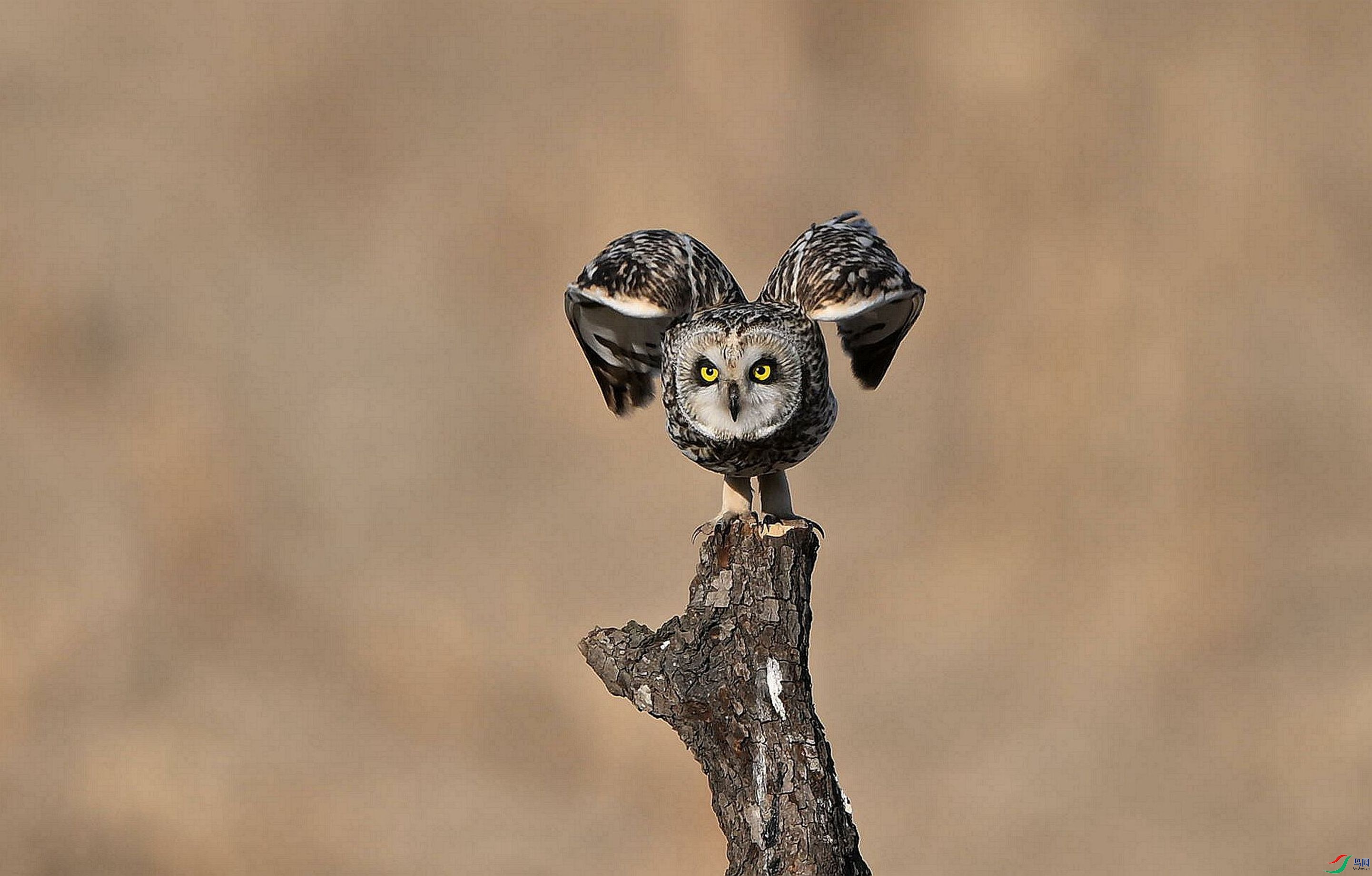 ��ϲ���ꡣ