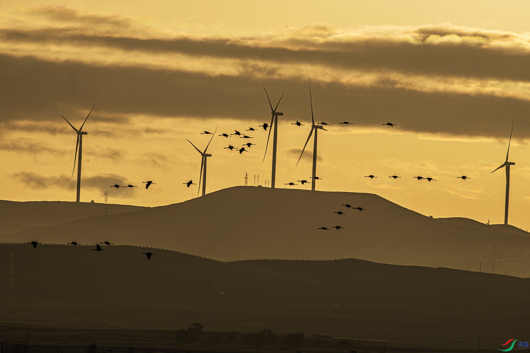 ��ɫϦ���µĴ�糵