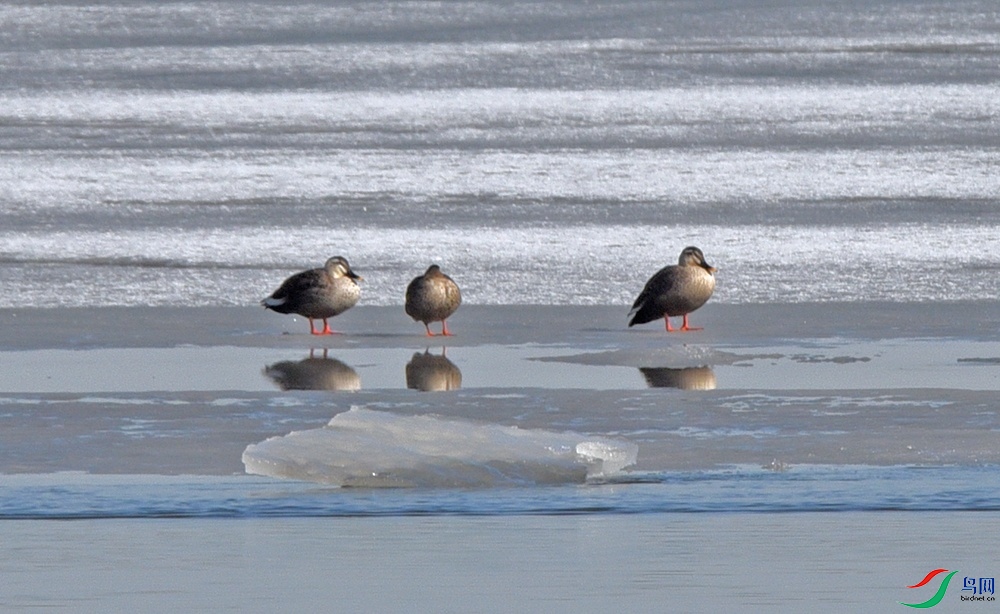 DSC_3607.jpg