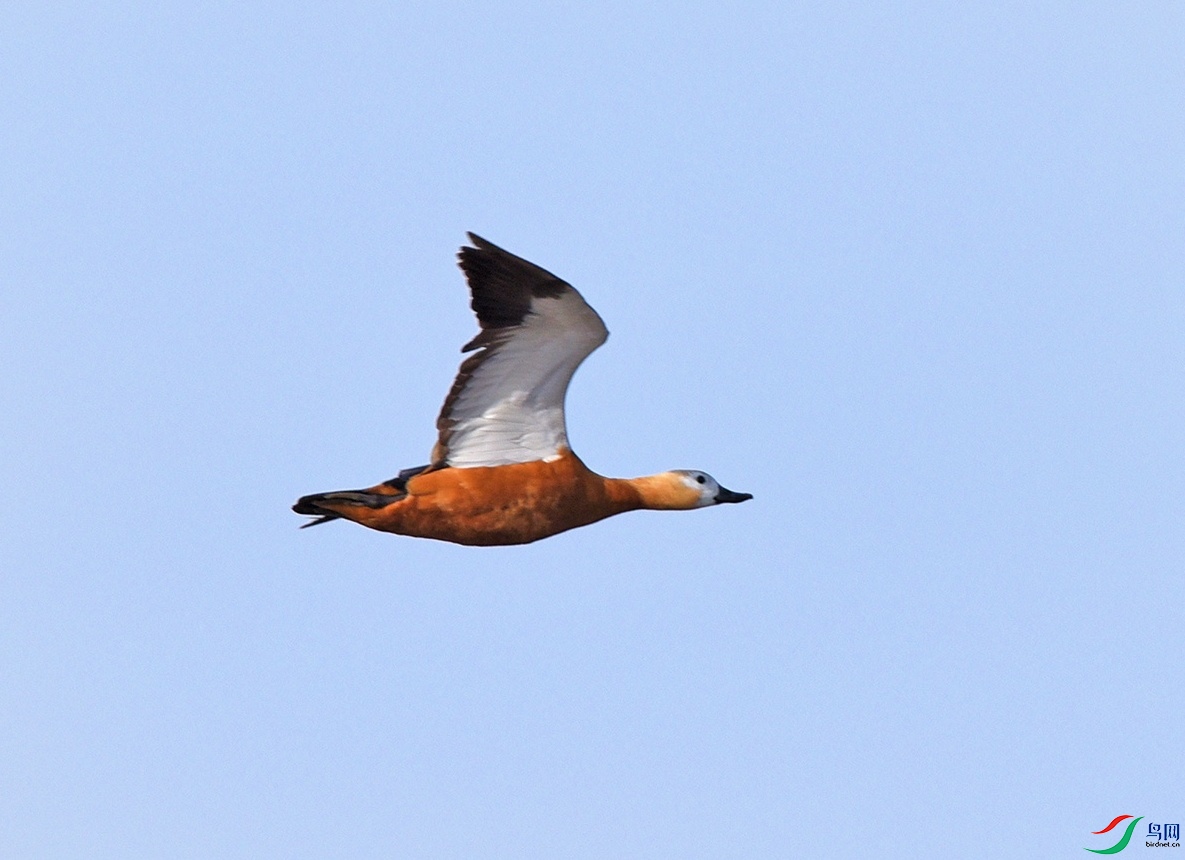 DSC_5261.jpg