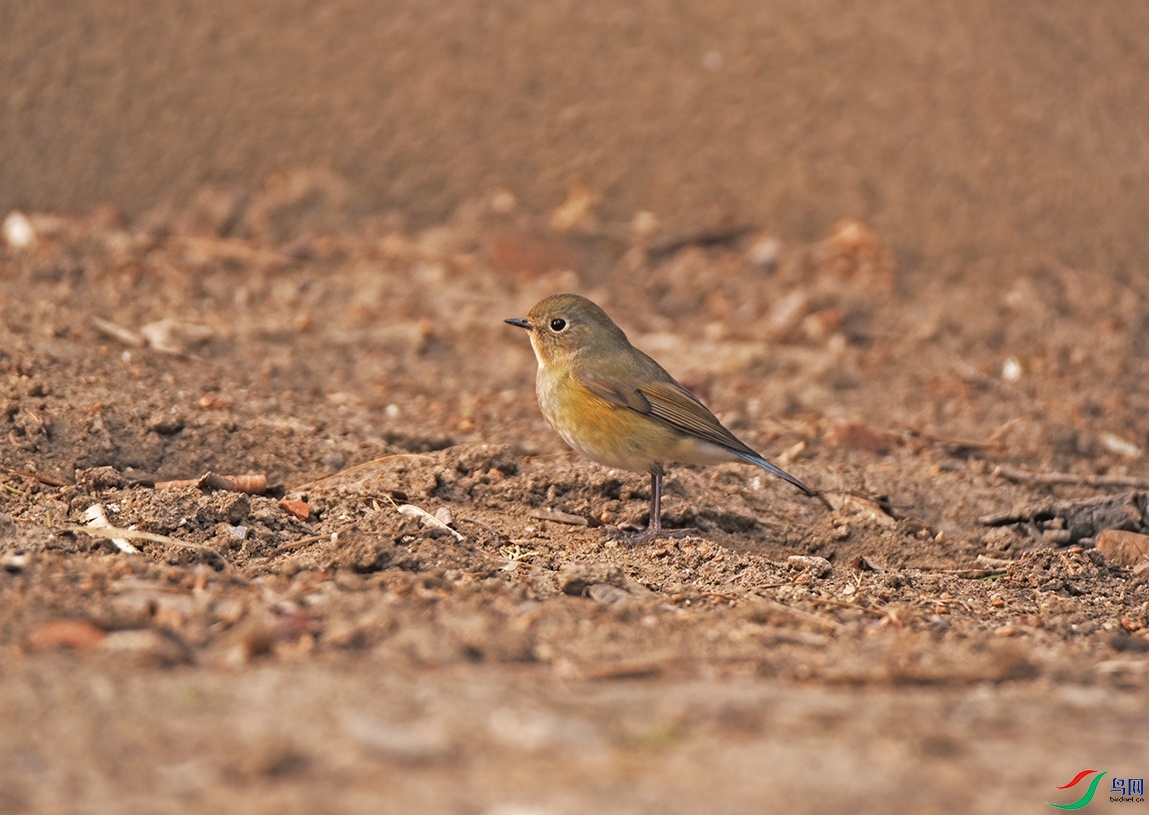 DSC_8106f_��ͼ��.jpg