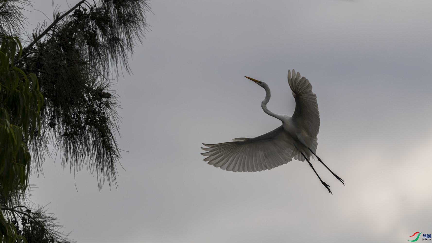 DSC_8554_1.jpg