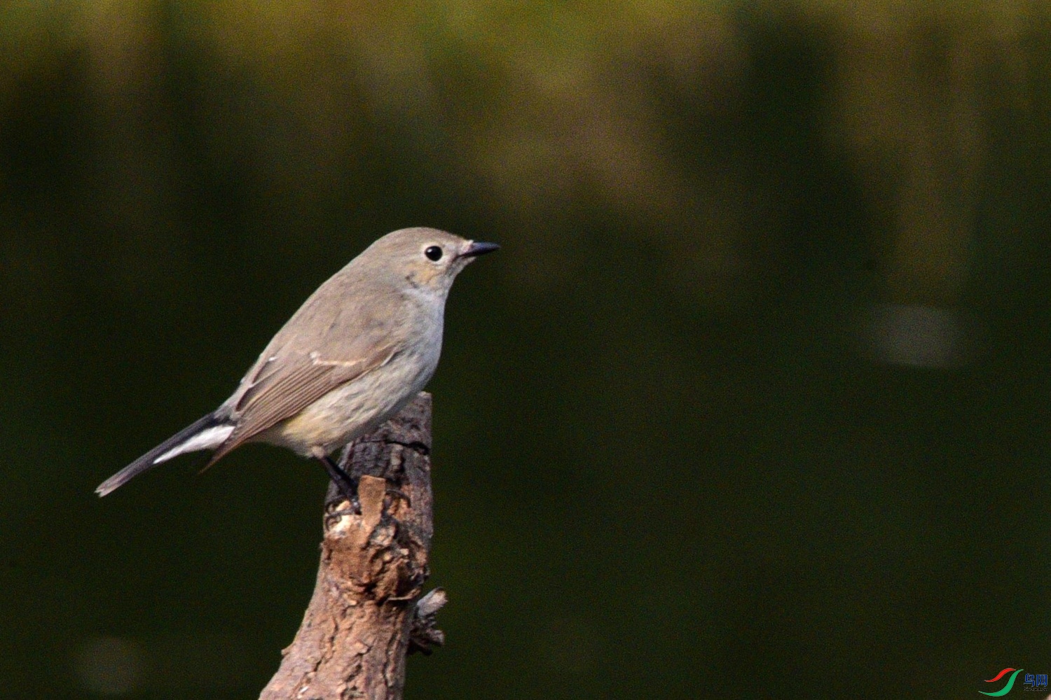 DSC_2360.JPG