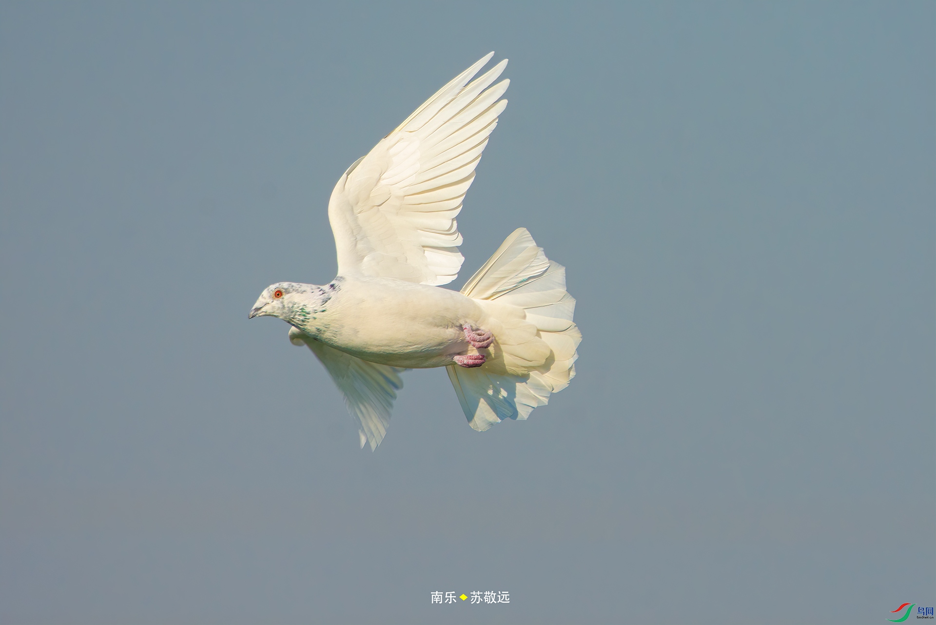 _DSC4285С.jpg