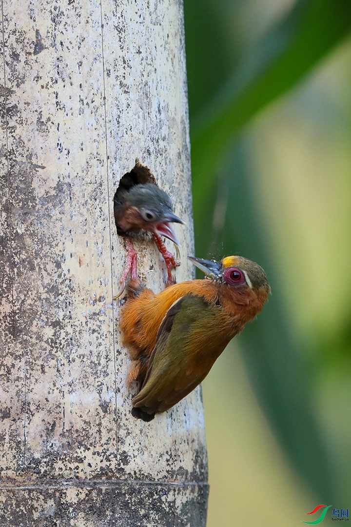 ��ü����ľ��