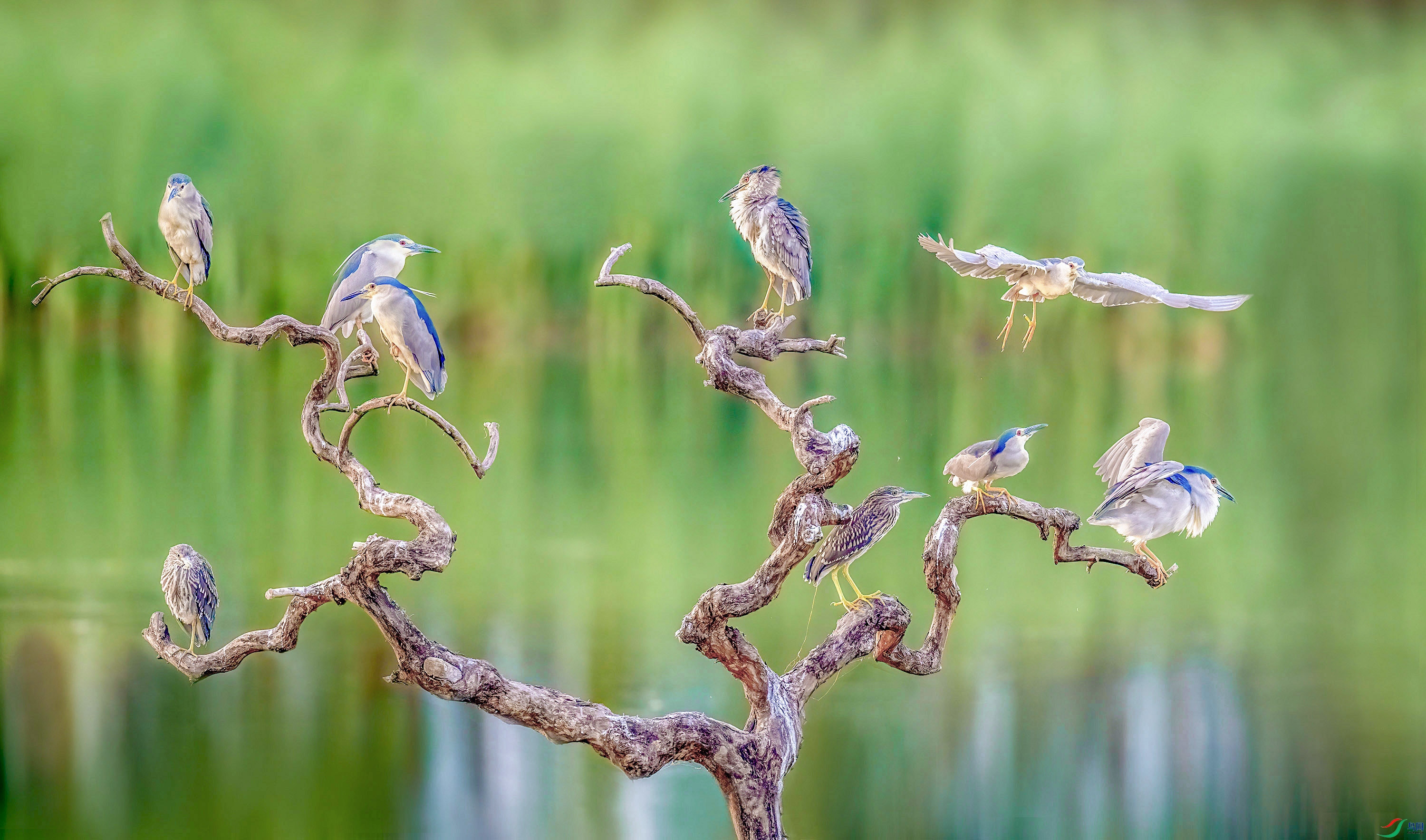 _JLN7429     ok (2).jpg