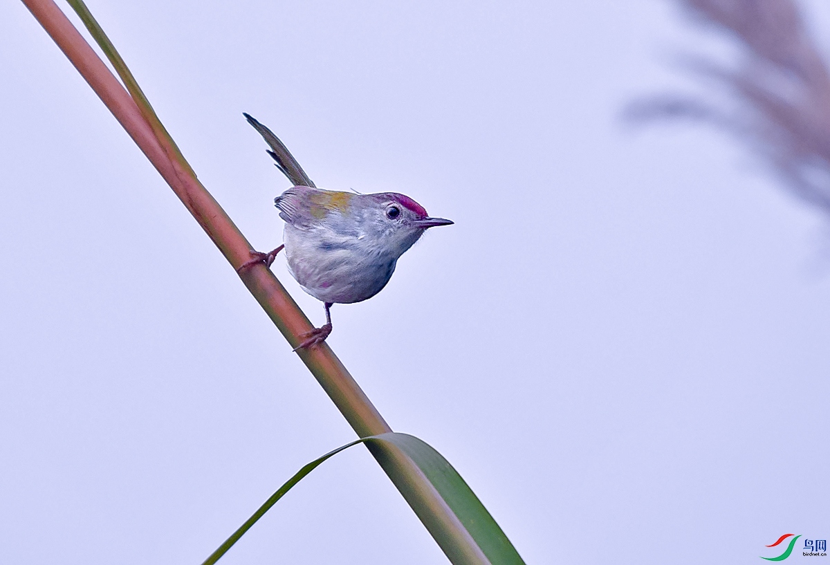 DSC_5240.JPG