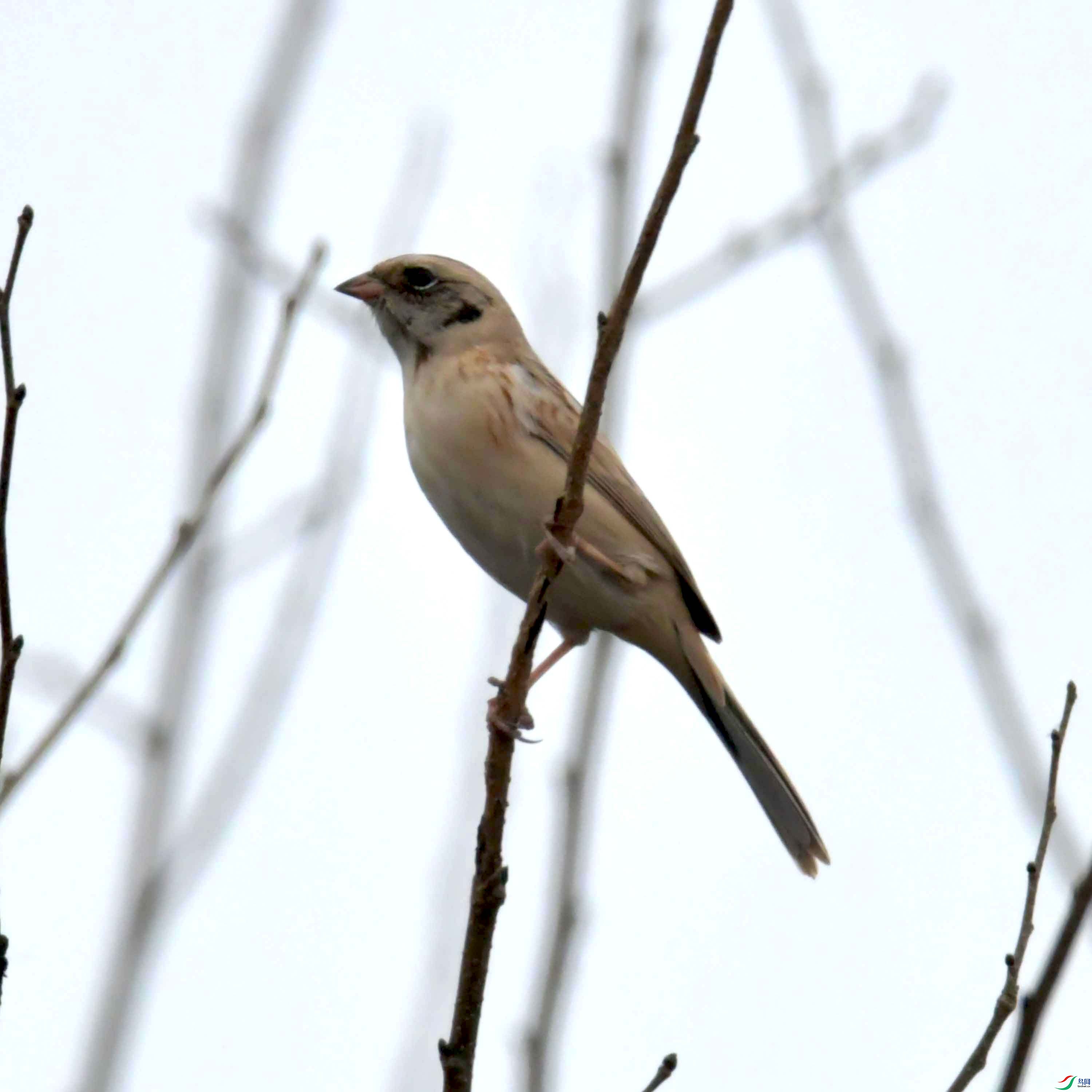 DSC_5446.JPG