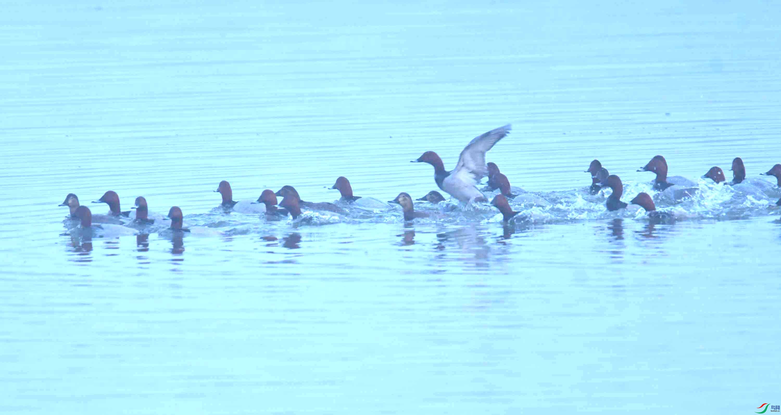 DSC_1087.JPG