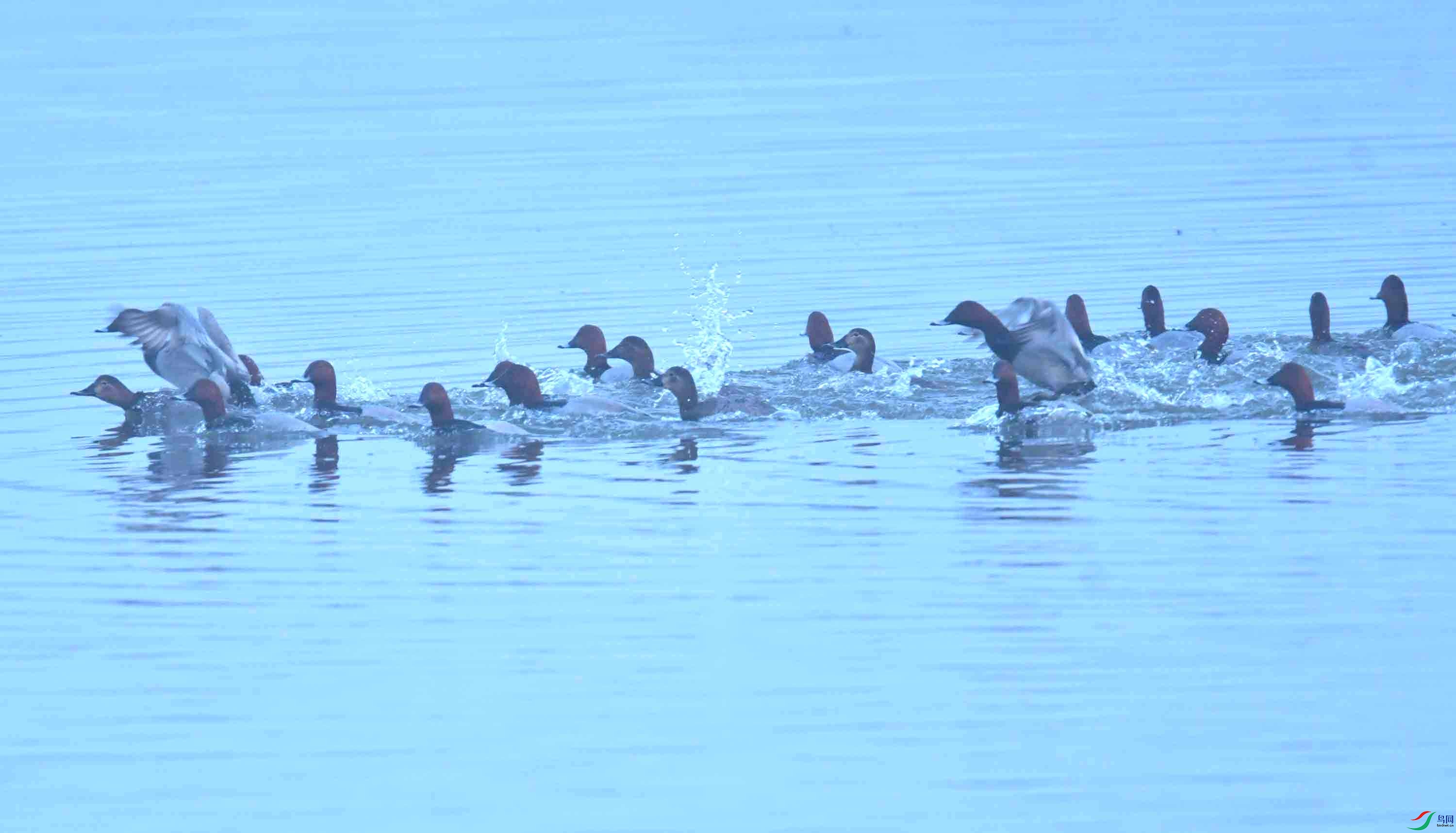 DSC_1089.JPG