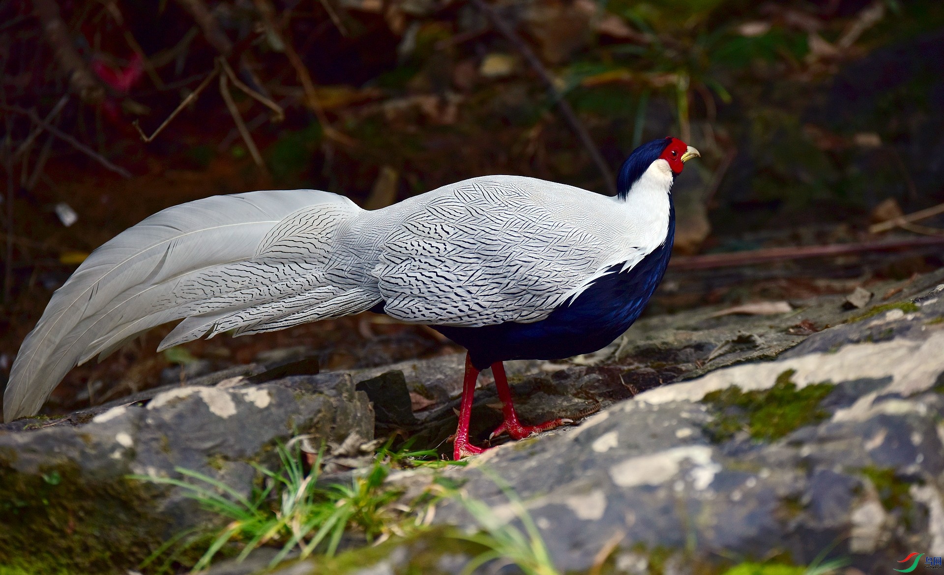 D8I_3670.jpg