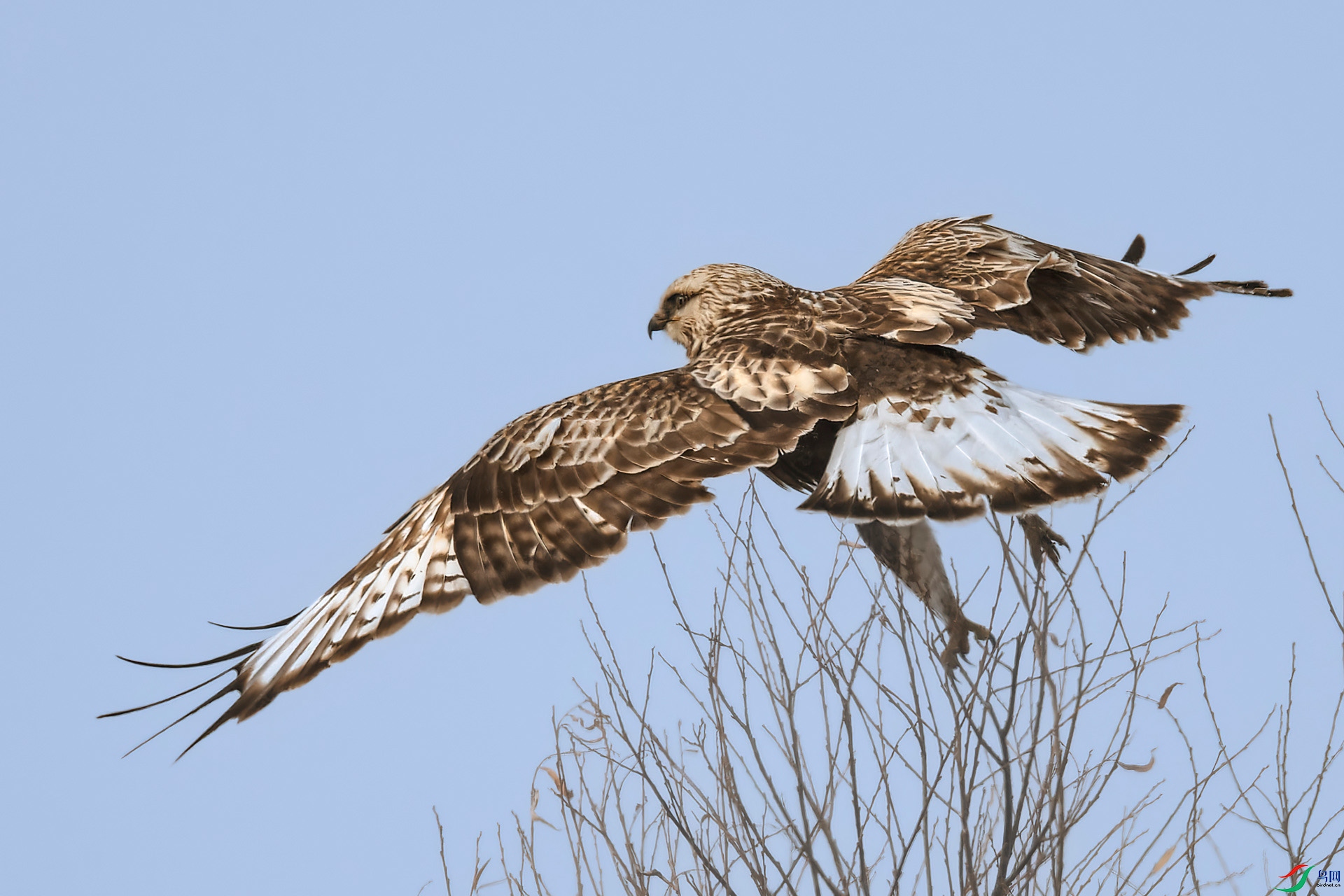 _NAO3872_DxO-gigapixel.jpg