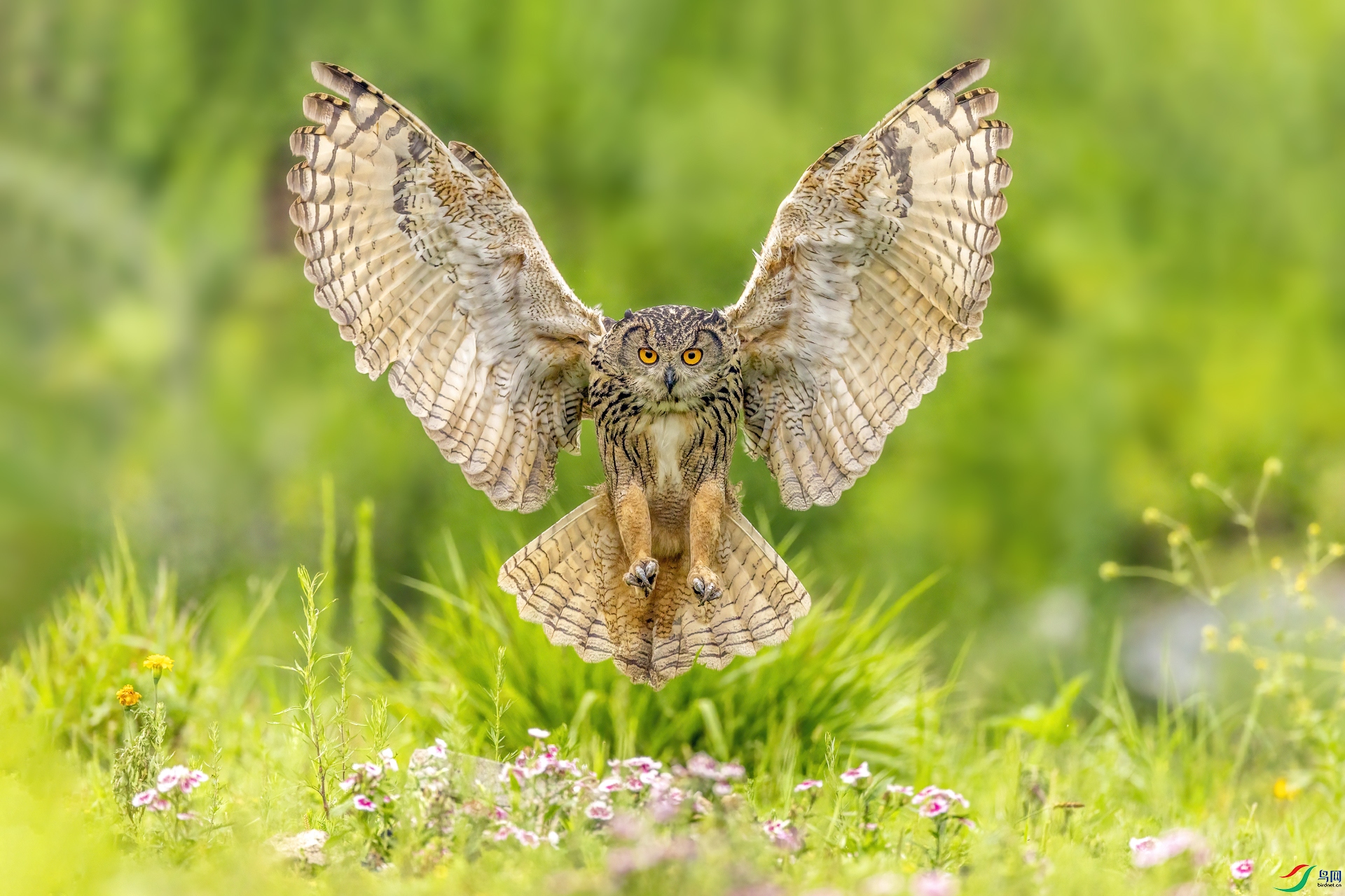 ���^058-1.jpg