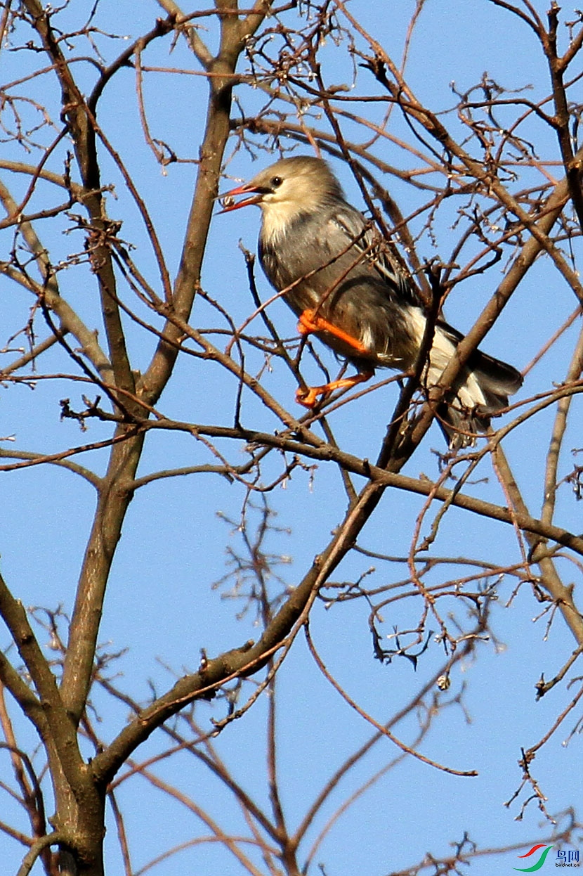 IMG_5684.JPG