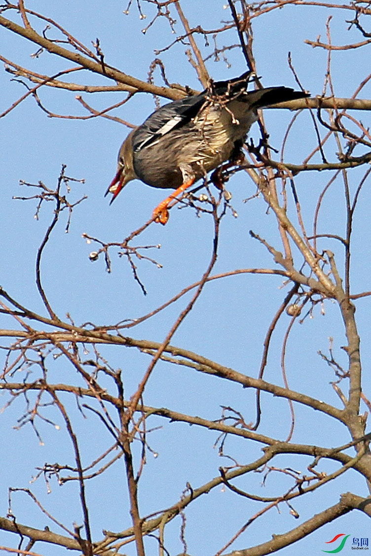 IMG_5677.JPG