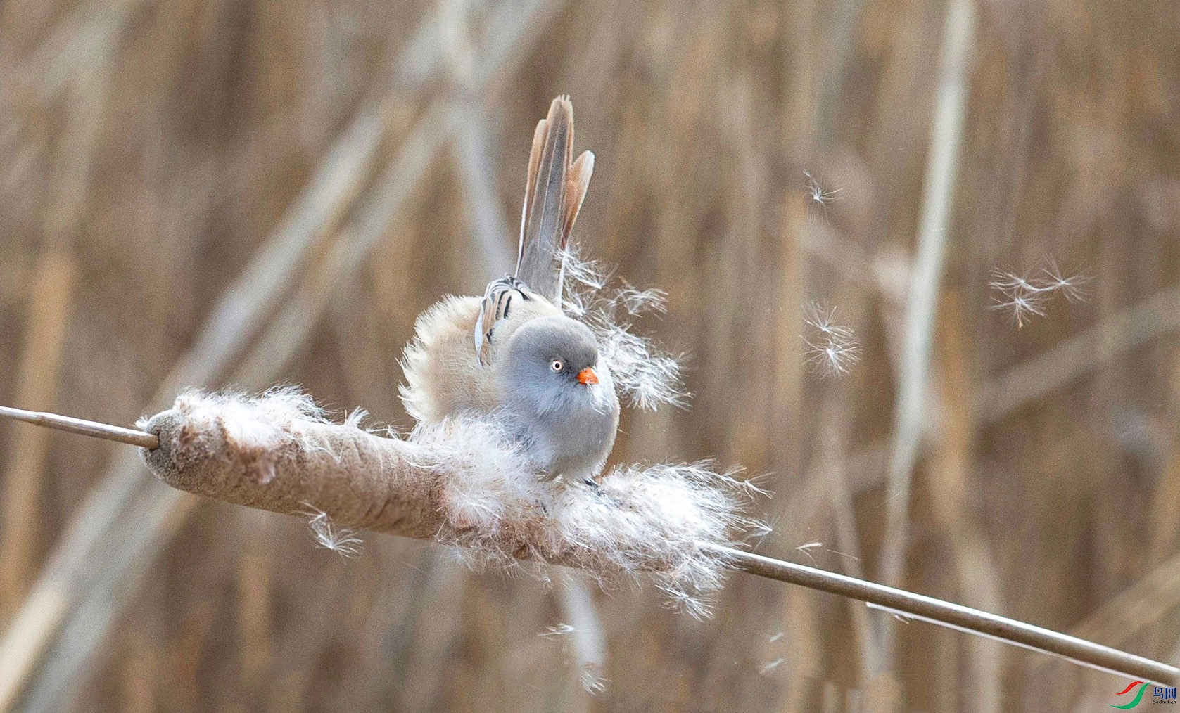 BW4Q0961 - ���� - ���� (2) - ���� - ���� - ����.jpg