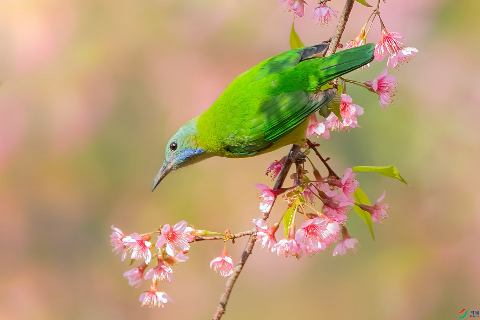 B86I3083 _����.jpg