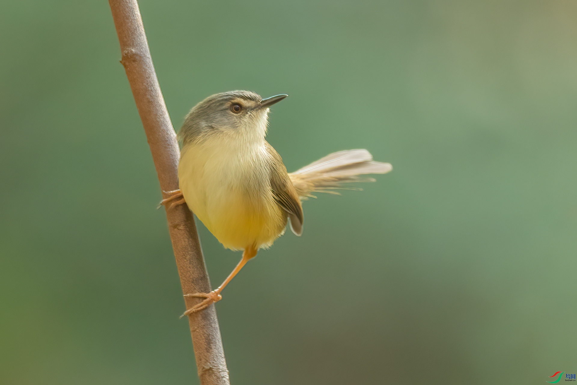 B86I2007 _����.jpg