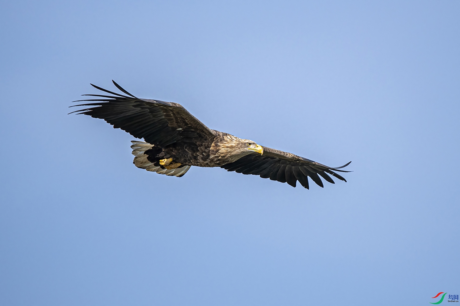 _DSC3729 - ����.jpg