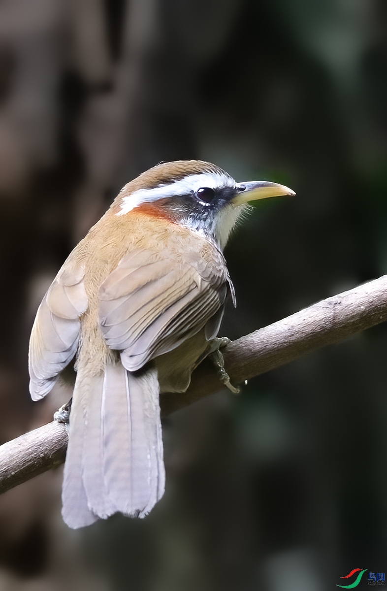 �ؾ�������