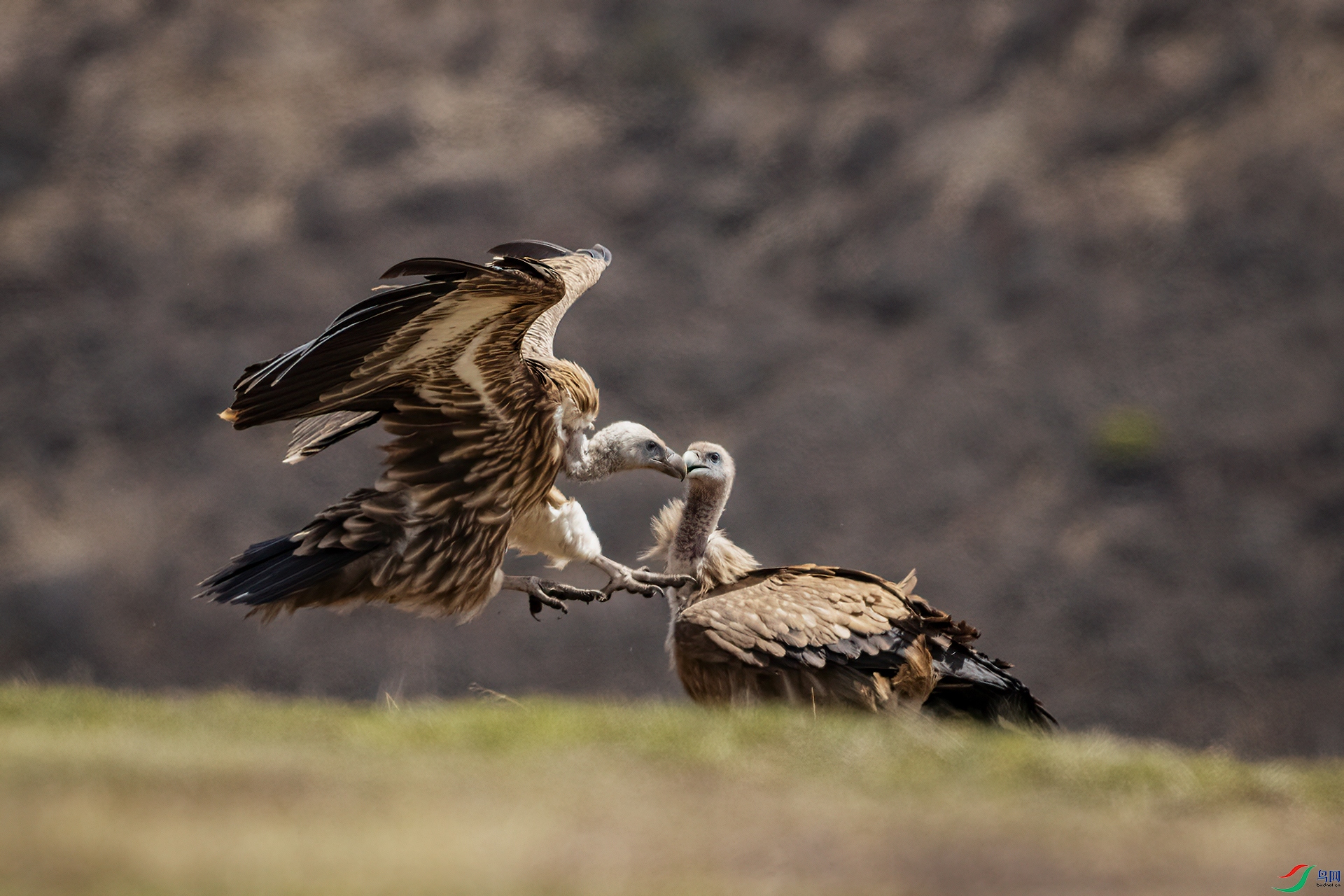 AO4I6014-�༭ ����.jpg