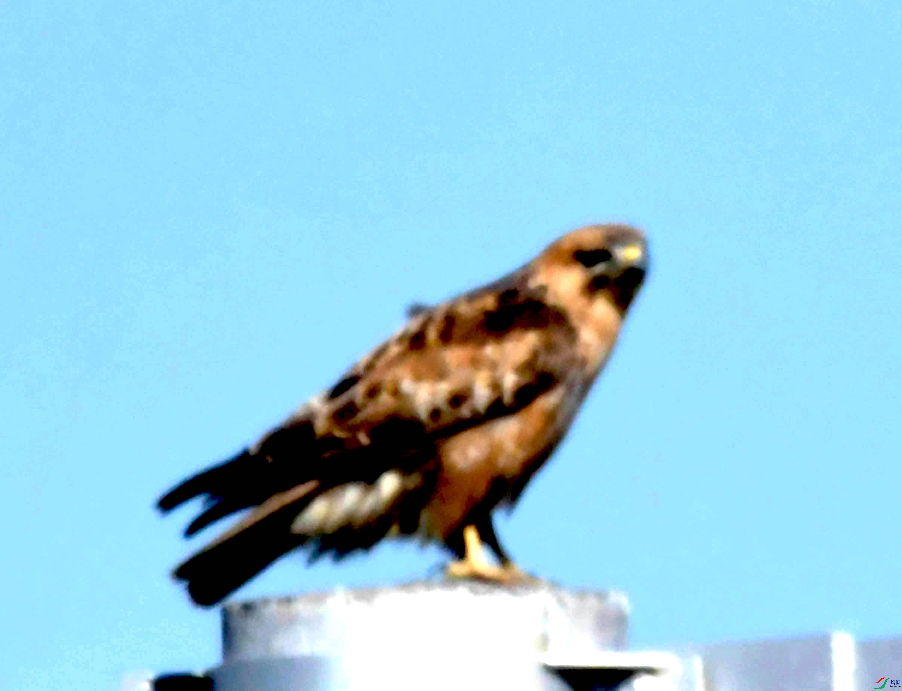 DSC_8140.JPG