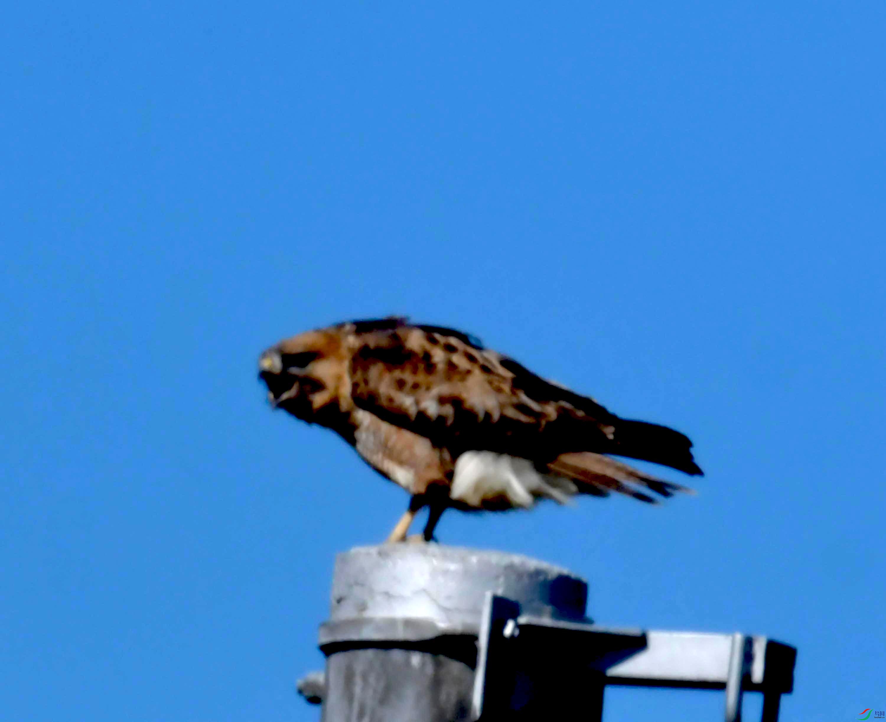 DSC_8772.JPG