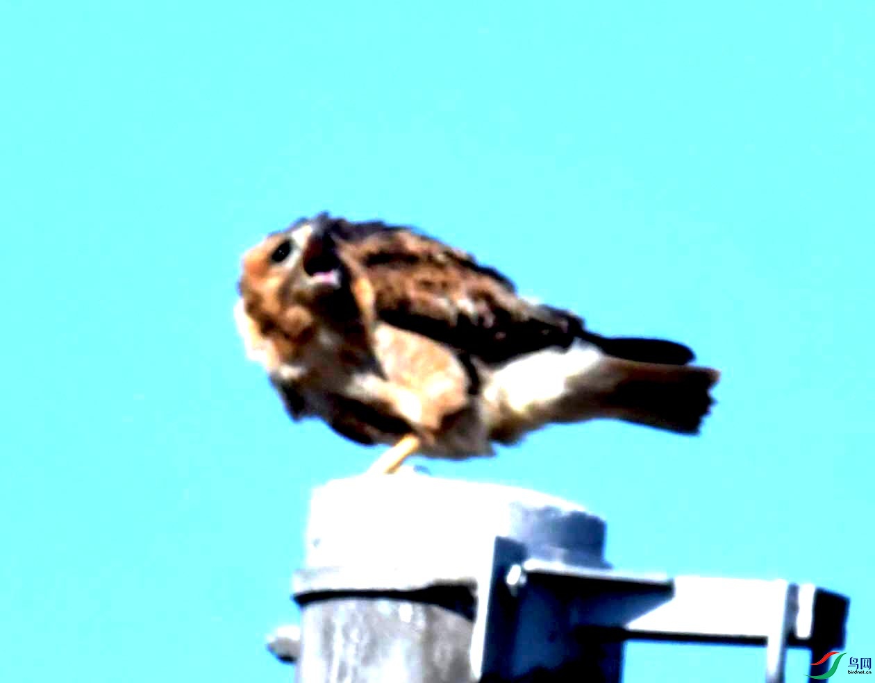DSC_8778.JPG