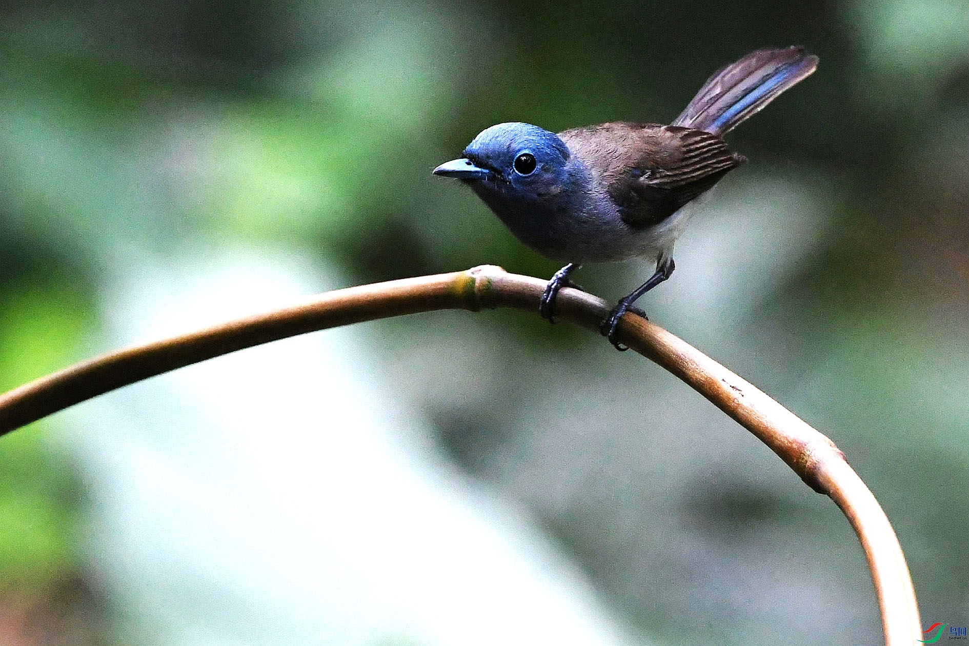 NIKON D5001297_����.jpg