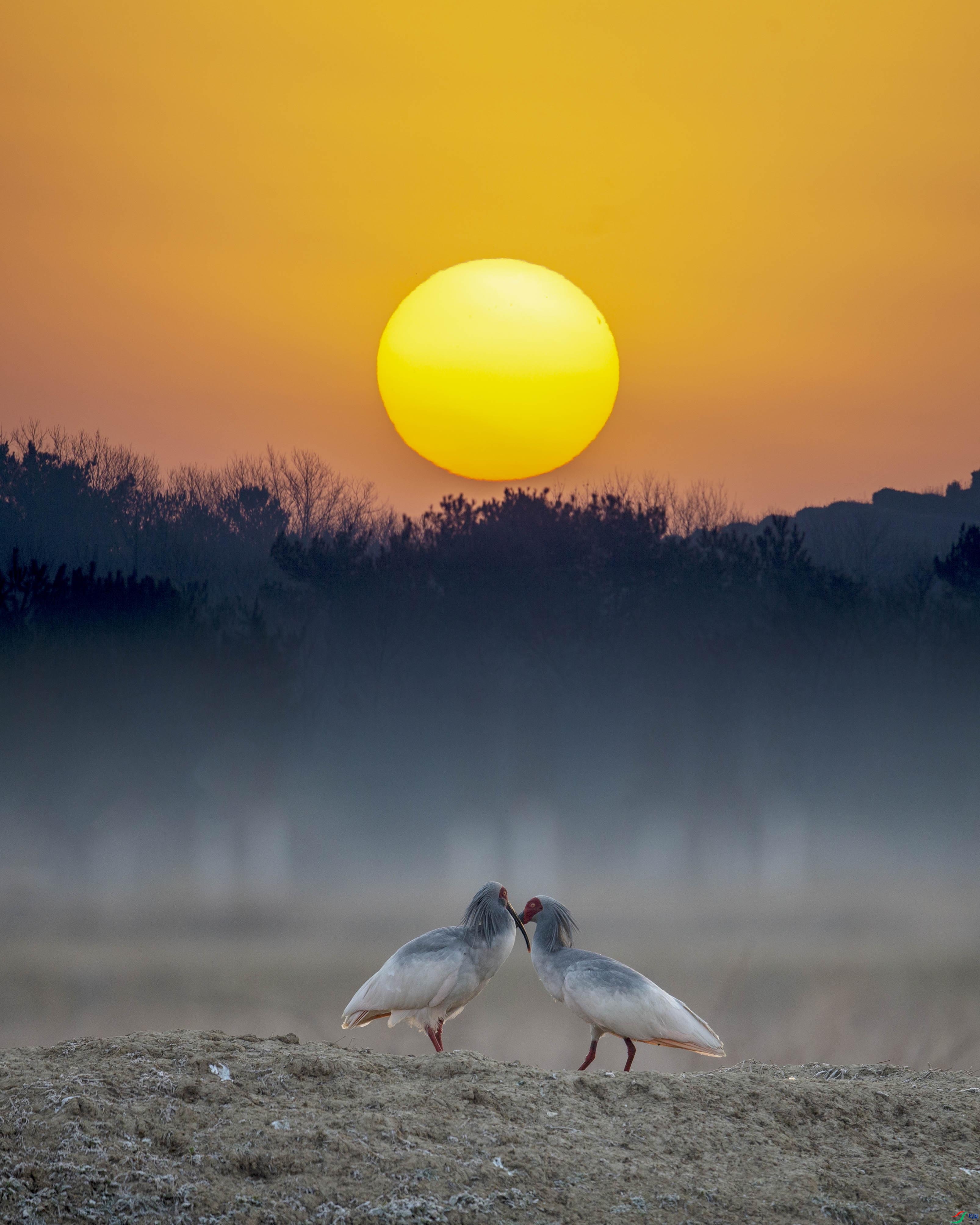 BR9W3030 ���� 2.jpg