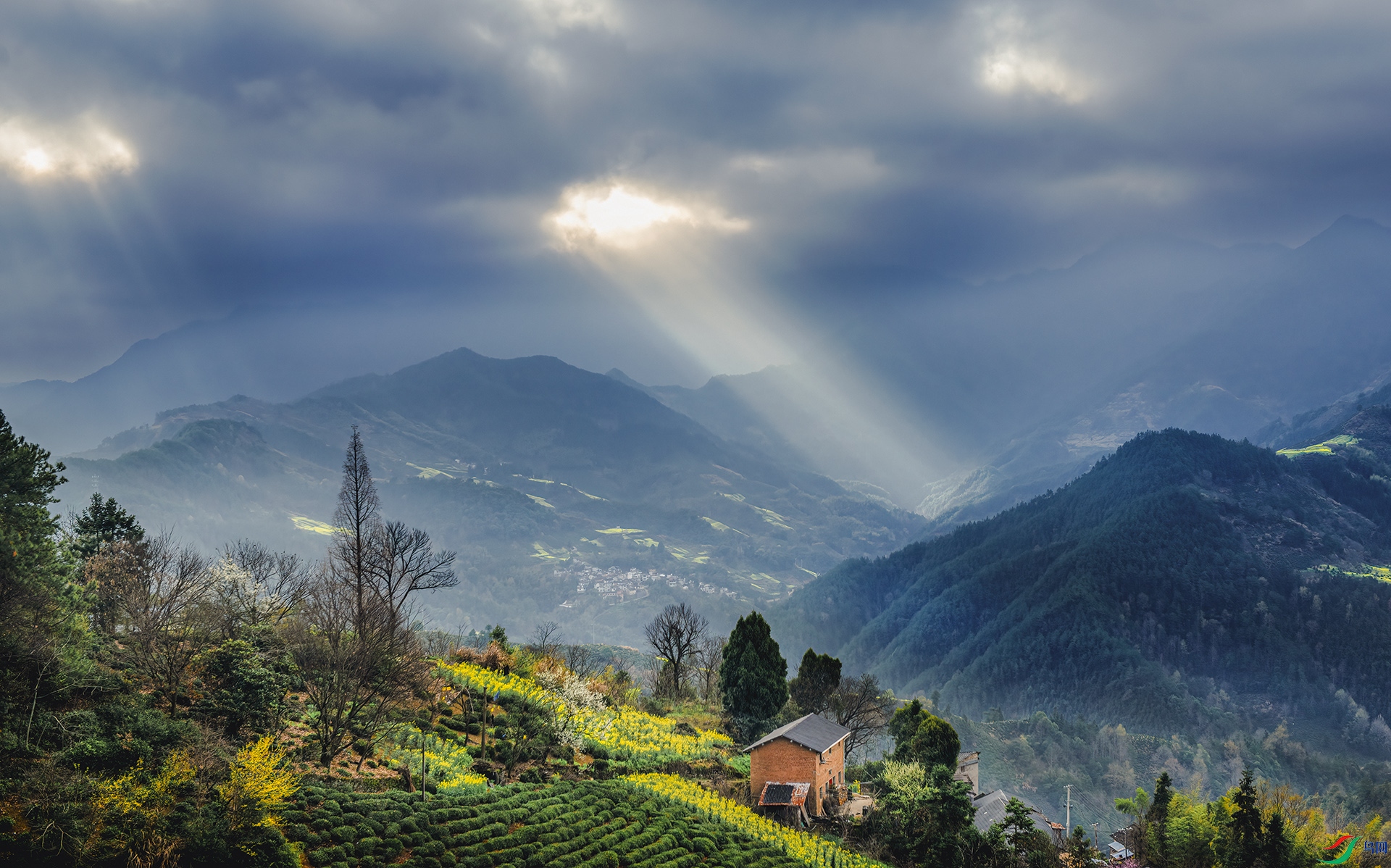 _DSC8253 - ��ط��.jpg