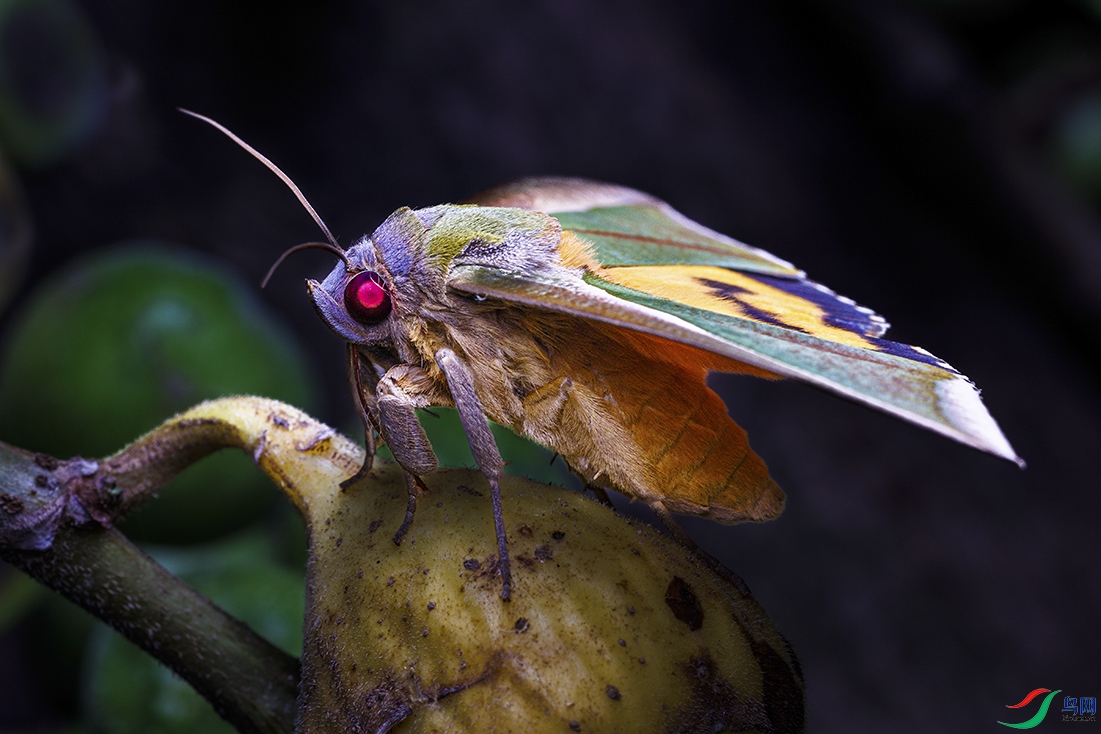 92022092506-6.jpg