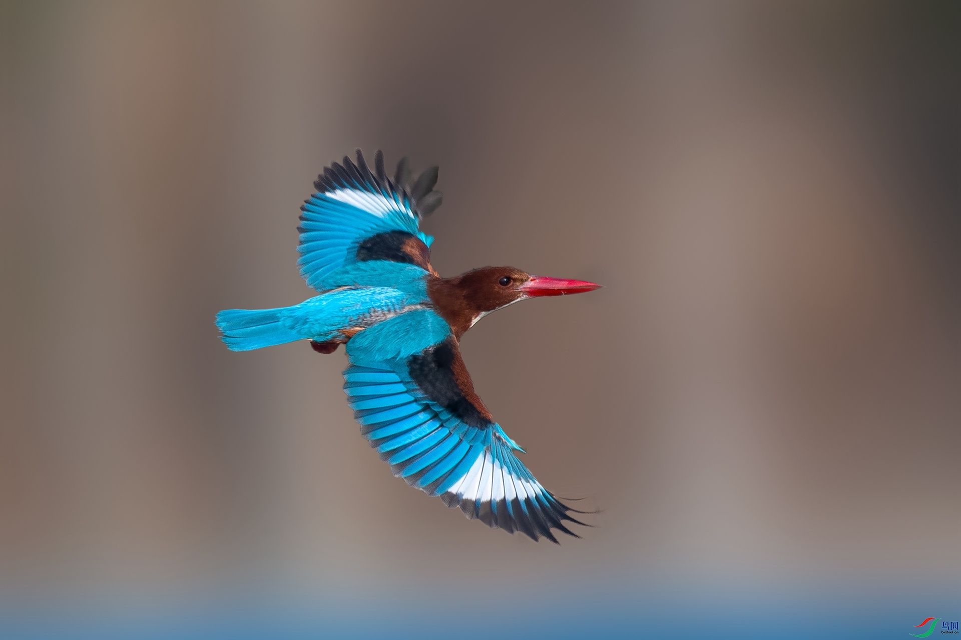 _DSC7765_����.jpg