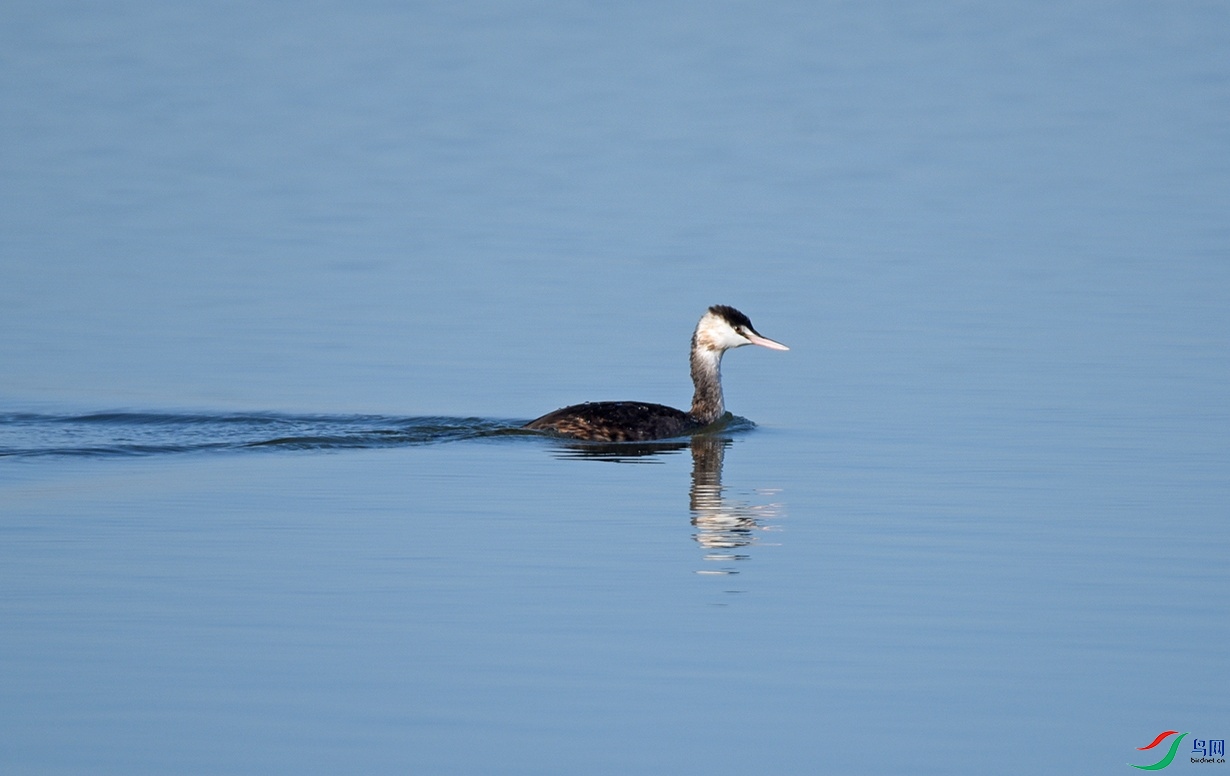 DSC_77872.jpg
